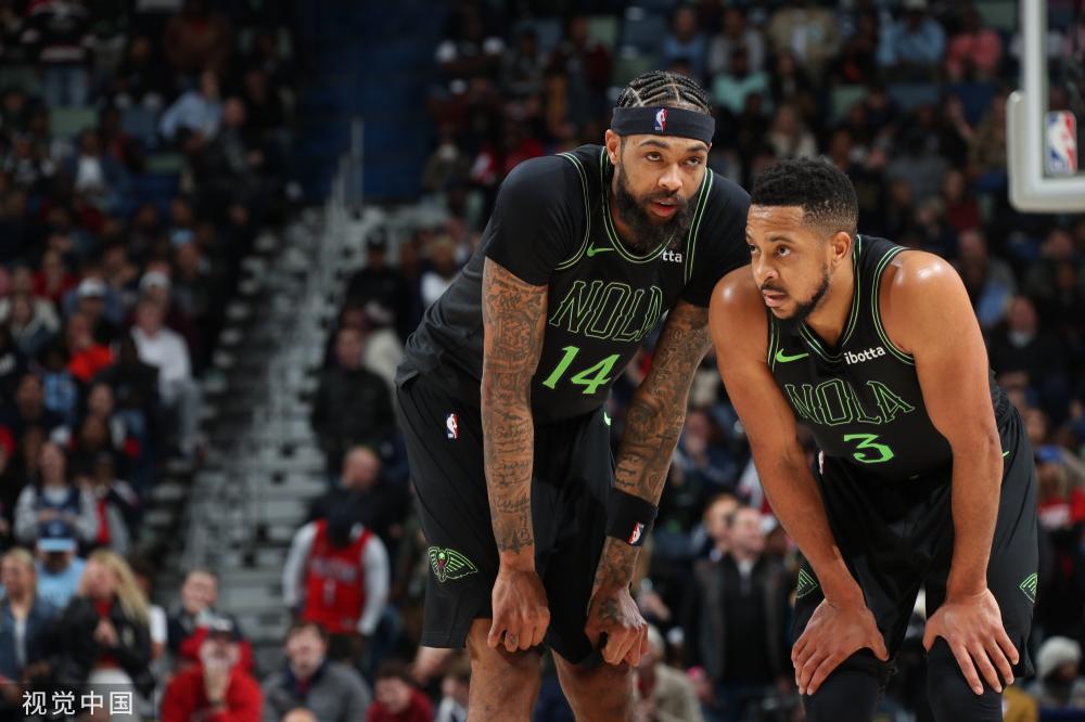 不仅是一条 不仅是一条